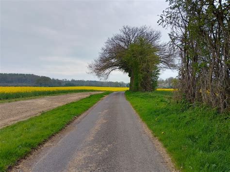 Farm track to Anvilles © Oscar Taylor cc-by-sa/2.0 :: Geograph Britain ...