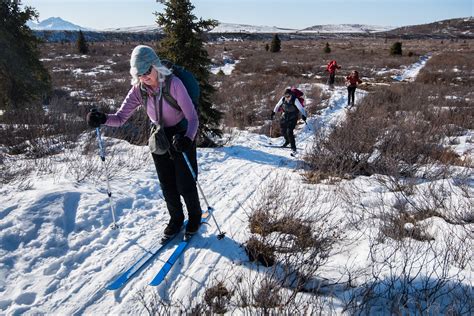 Winter and Shoulder Season Plan - Denali National Park & Preserve (U.S. National Park Service)