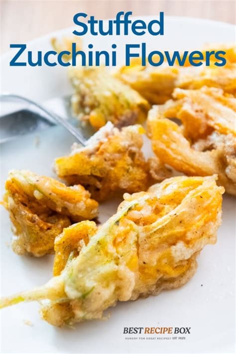 Stuffed Zucchini Flowers Recipe Crispy Blossoms Best Recipe Box