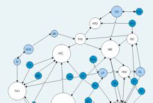 Free Editable Sociogram Examples | EdrawMax Online