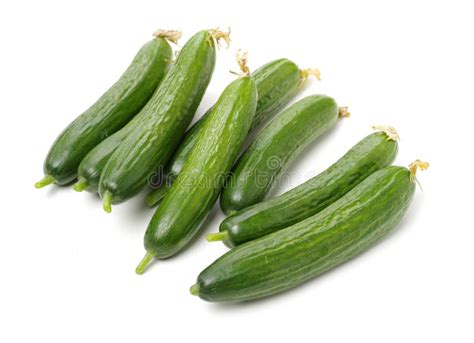 Lebanese Cucumber stock image. Image of nature, lebanese - 146441513