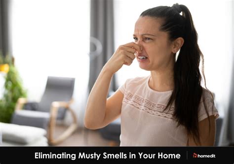 8 Step Plan for Getting Rid of Musty Smells in Your Home