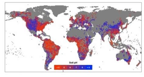 Soil fertility: Global map of soil pH - Earthzine