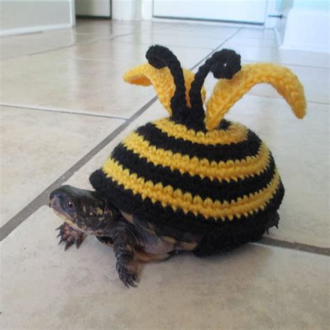 Bee Turtle costume Crochet Pet turtle costume Tortoise outfit