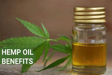 Top 6 Benefits of Hemp Oil – You Need to Know - WiseLancer