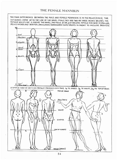 andrew loomis - Hledat Googlem More Figure Drawing Tutorial, Stick Figure Drawing, Human Figure ...