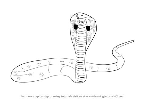 How to Draw a King Cobra (Reptiles) Step by Step | DrawingTutorials101.com