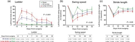 Gait measures demonstrate stroke-induced deficits that recover during ...