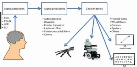 Brain Computer Interface (BCI) - AI With Neuropsychology | | Interface, Neuropsychology, Computer