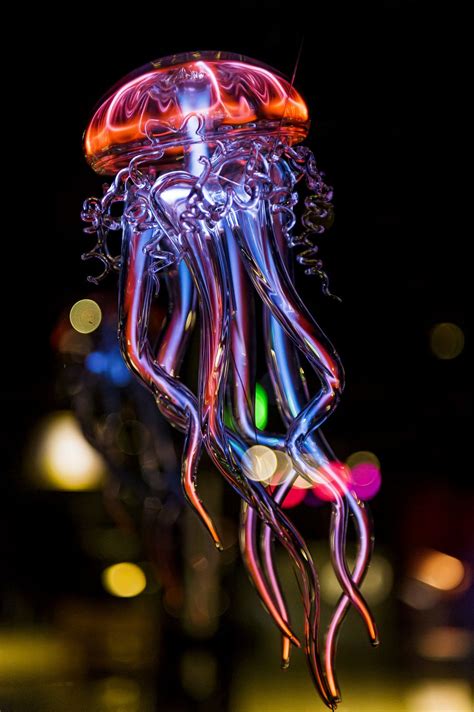 Neon jellyfish | Beautiful sea creatures, Jellyfish photo, Glass art