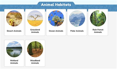 STP Animals - OIS Gr. 1 / 2 - LibGuides at Senri and Osaka International Schools