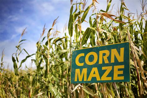 New England Corn Mazes 2019 | Fall Fun for Families