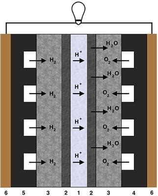 Frontiers | Flow Field Patterns for Proton Exchange Membrane Fuel Cells
