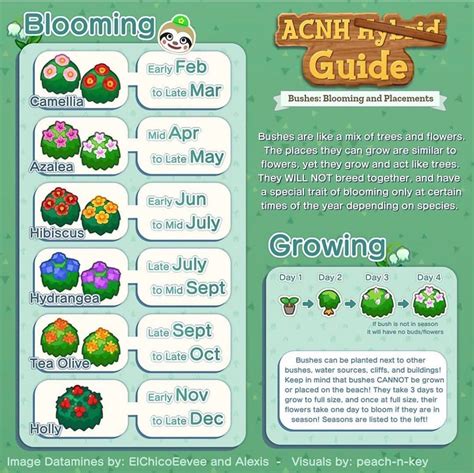 Animal Crossing New Horizon op Instagram: "Here’s a guide for everyone who loves the new bushes ...