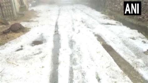 Snowfall in Udaipur: Temperature dips as rain lashes parts of Rajasthan; check weather forecast ...