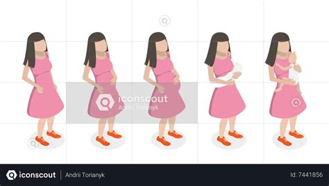 Best Stages Of Pregnancy Illustration download in PNG & Vector format