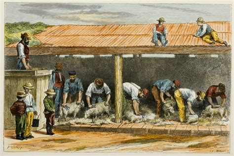 Sheep-Shearing. - Antique Print Map Room