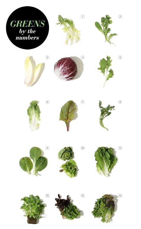 Greens by the Numbers | Greens, Types of salad, Green salad