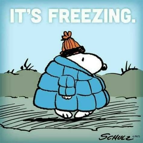 Snoopy it's freezing | Snoopy pictures, Snoopy love, Peanuts snoopy