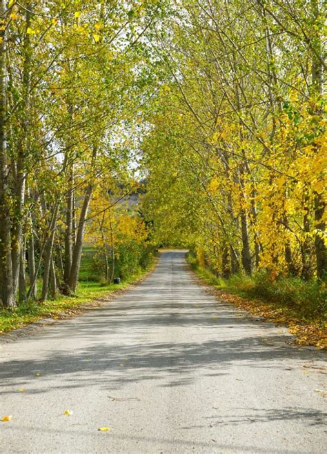 Traverse City Fall Colors: The Most Beautiful Drive through Northern ...