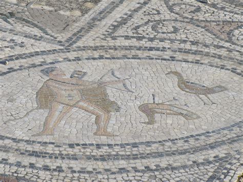 Mosaics in the Roman ruins at Volubilis in Morocco - Trevor's Travels