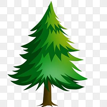 Fir Tree PNG Picture, Fir Tree Illustration, Fir Tree, Spruce, Tree PNG Image For Free Download