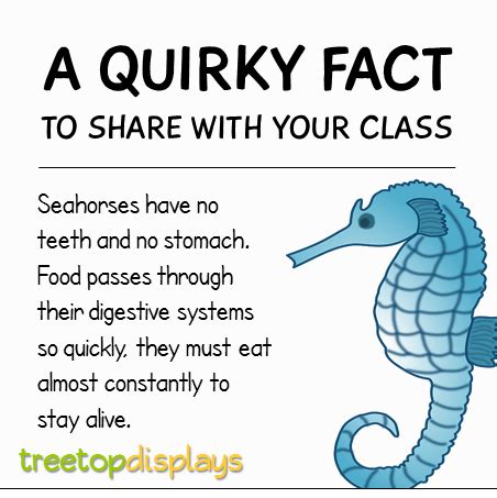 A quirky fact about seahorses to share with your class - from Treetop ...