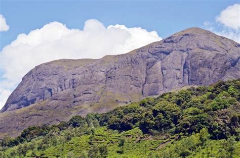 AnaMudi : Elephant Hump Mountain - Picture of Anamudi Peak, Munnar ...