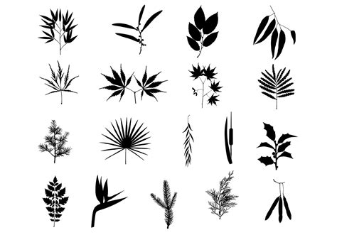 Beautiful Branches Vector Pack 6773 Vector Art at Vecteezy