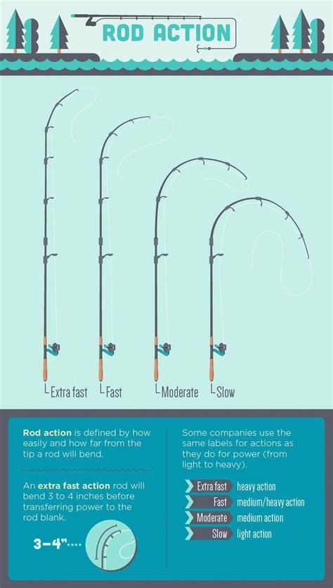 Rod Selection - All About Action | Bass fishing tips, Fishing tips, Fishing techniques