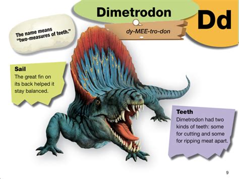 ‎A-Z of Dinosaurs on Apple Books