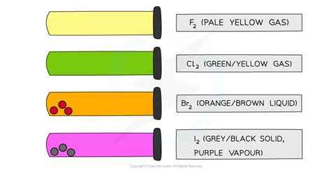 Physical Properties of the Group 17 Elements (2.3.1) | CIE A Level ...