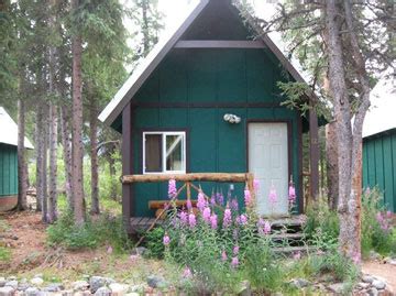 Denali National Park affordable cabins tucked into the woods, on a ...