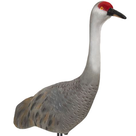 Final Approach Live Sandhill Crane Decoys Upright - 2 Pack | Rogers Sporting Goods