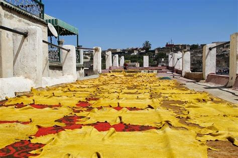 The Leather Tanneries of Fez, Morocco | Amusing Planet