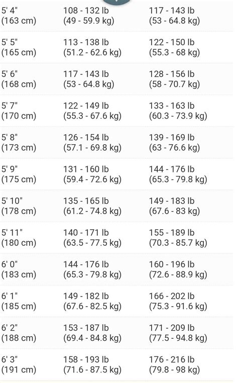 Ideal Model Body Measurements