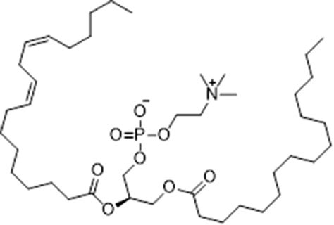 Lecithin Structure