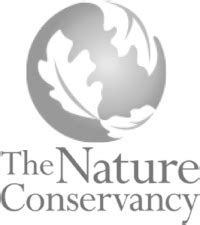 Logo of The Nature Conservancy - FloodTags