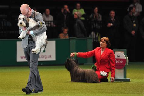 Crufts dog show