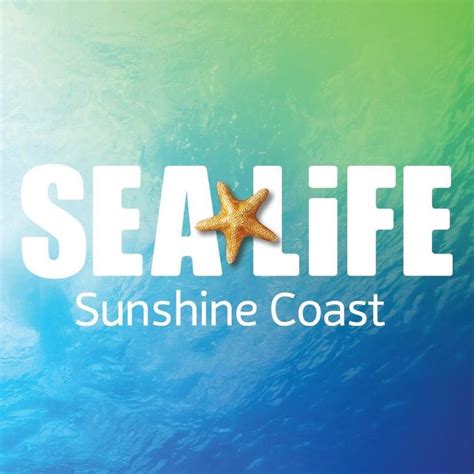 SEA LIFE Sunshine Coast Aquarium | Sunshine Coast QLD