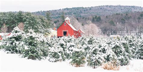 Farming Christmas Images - Farming Mania