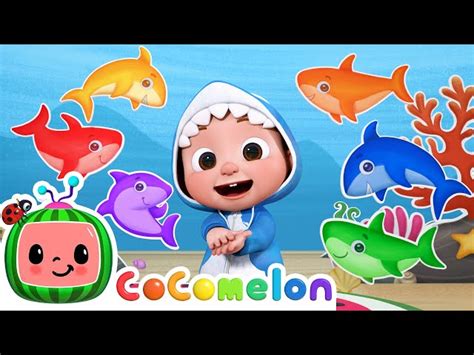 Baby Shark Learns Colors | CoComelon Nursery Rhymes & Kids Songs - Videos For Kids