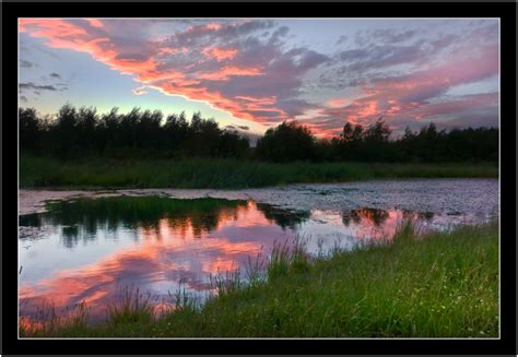 Free Images : water, nature, grass, marsh, wilderness, silhouette ...