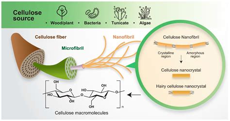 Materials | Free Full-Text | Advances in Cellulose-Based Composites for Energy Applications