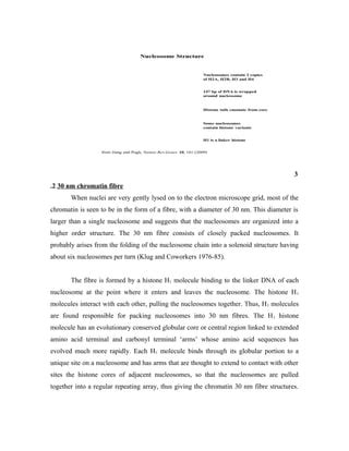 STRUCTURE AND ORGANIZATION OF CHROMATIN | PDF