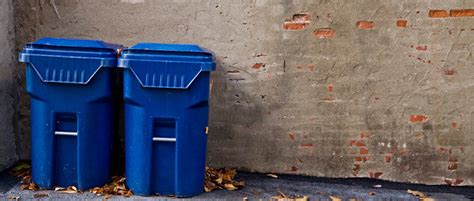 5 Reasons to Clean Your Trash Bins Regularly