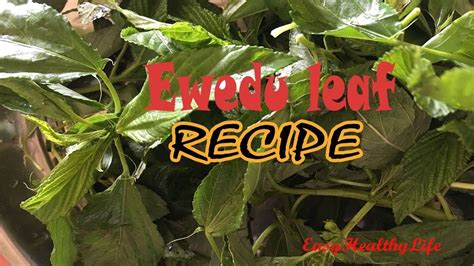 Ewedu leaf Recipe Jute Leaves Saluyot leaves how to cook | Detox water recipes, Fasting diet ...