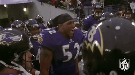 Baltimore Ravens Football GIF by NFL - Find & Share on GIPHY