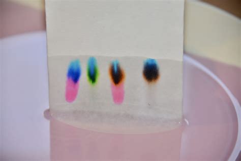 Paper Chromatography Experiment