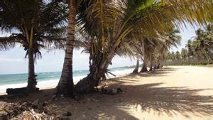 Starting Our Tour Of Beaches Near Cabrera Dominican Republic